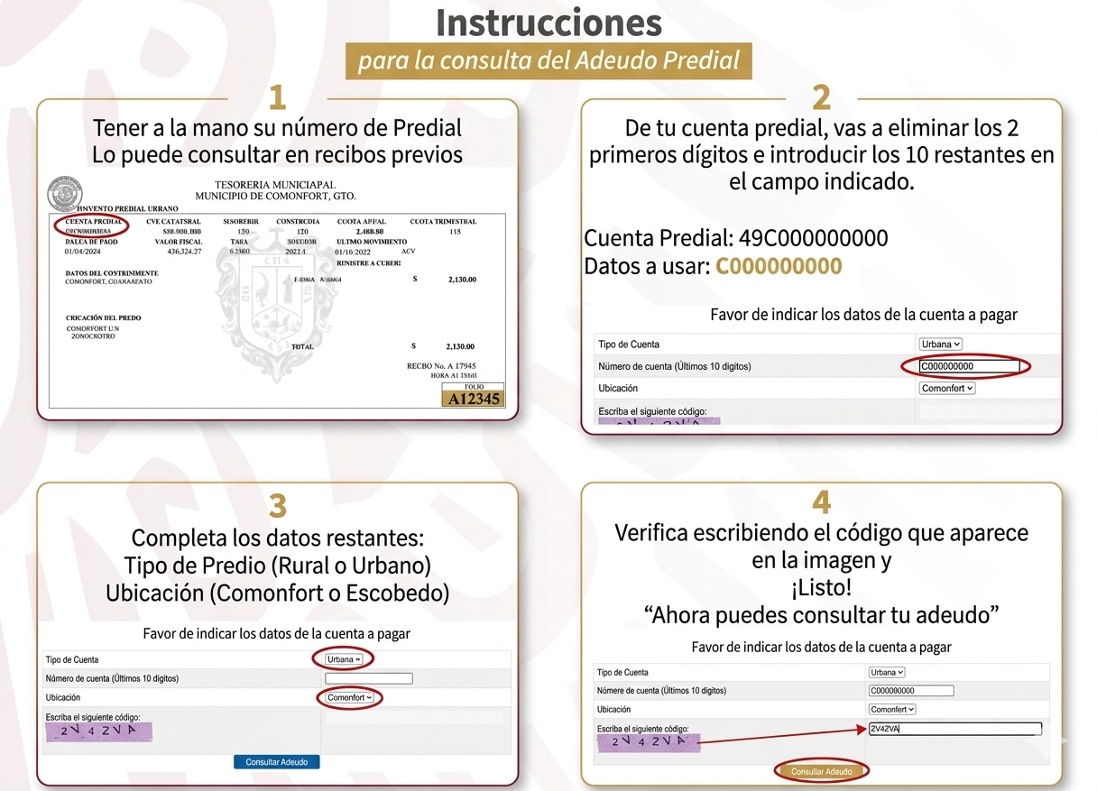 Instrucciones Predial